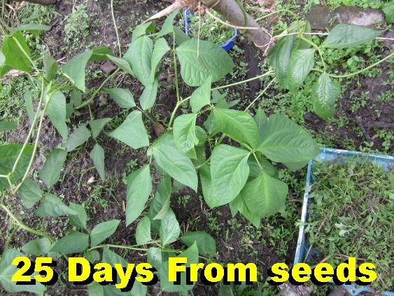  photo 258Dec2013_zps670ba366.jpg